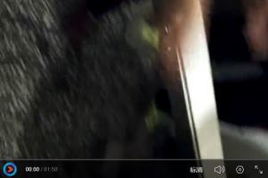 圆馍机工作场景