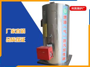 立式燃气蒸汽发生器
