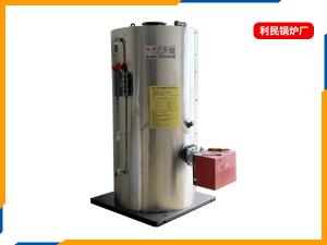 立式燃气蒸汽发生器