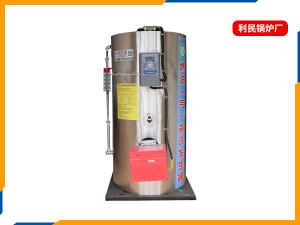 立式燃气蒸汽发生器