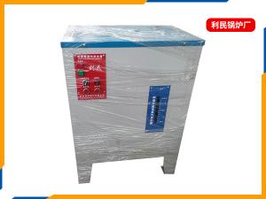 电加热蒸汽发生器